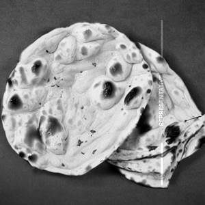 Naan