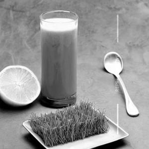 Wheat Grass Juice (No Added Sugar)
