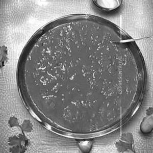 Kathi kebab gravy