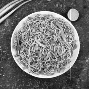 Veg Hakka Noodles
