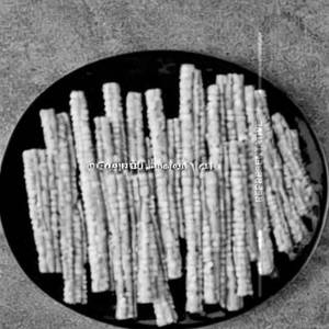 Baby Corn Stick