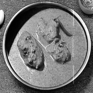 Doi Murgi