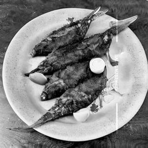 Srilankan Devil Fish Dry