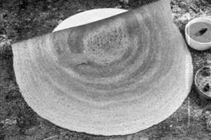 Podi dosa