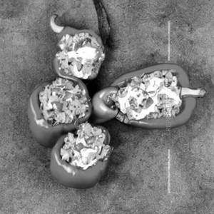 Stuffed Capsicum