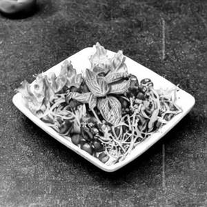 Junglee Salad