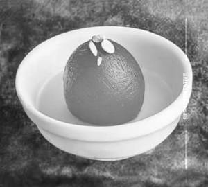 Jamun