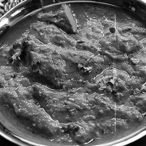 Silver Fish