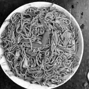 Veg Schezwan Noodles