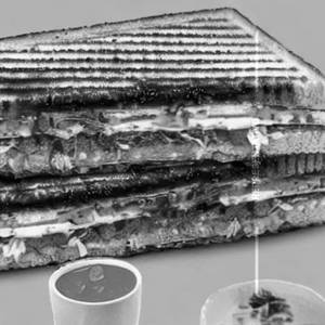 Udupi Utsav Grilled Sandwich