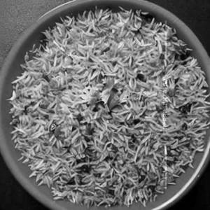 Biryani Rice (MR)
