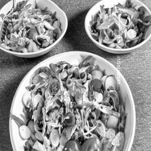 Green Salad