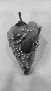 Porno video uning eshak ustida kamming