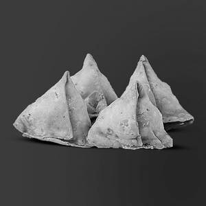 Samosa