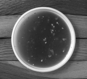 Veg Manchow Soup