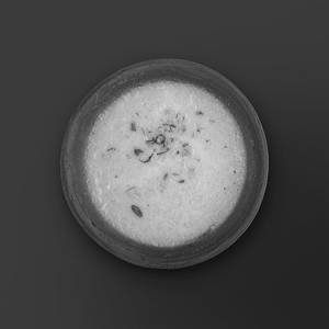 Phirni