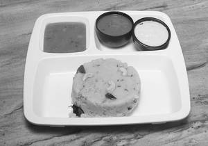 Pongal