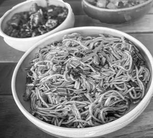 Veg Hakka Noodles