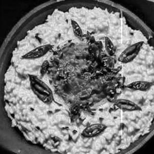 Curd rice