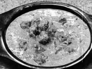 Punjabi Kadi 