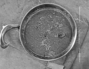 Shahi Chaap Gravy