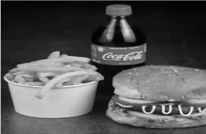 Solo Burger Meal