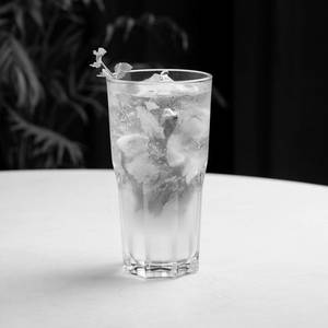 Mint Mojito