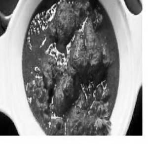 Murgh Angara Masala