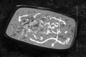 Shahi Paneer