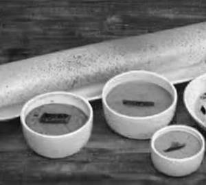 Onion Panner Dosa