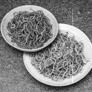 Veg Delicacy Special Fried Noodles