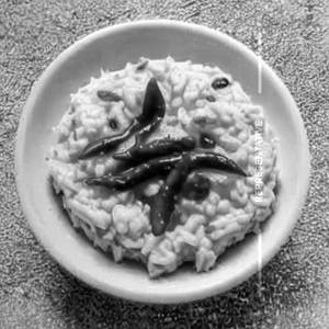 Curd Rice