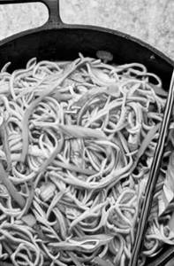 Stir Fried Chicken Noodles
