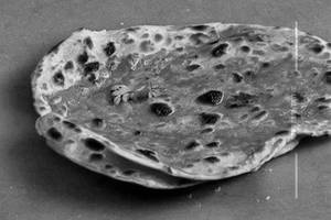Lachha Parantha 