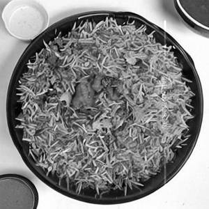 Morola Macher Chorchori