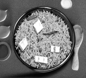 Paneer Schezwan Fried Rice