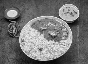Tawa Chaap Rice Bowl