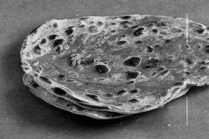 Lachha Paratha