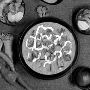 Paneer Korma