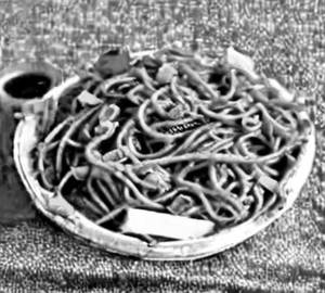 Chicken Schezwan Hakka Noodles
