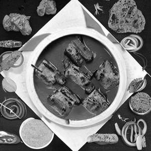 Veg Seekh Kebab Masala