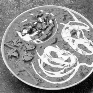 Dahi Misal