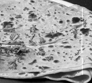 Mixed Veg Stuffed Paratha