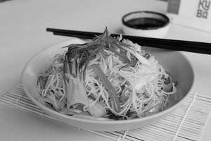 Veg Classic Hakka Noodles