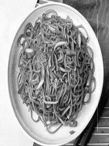 Chilli Garlic Noodles