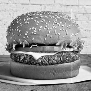 Veg Burger