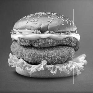 Crispy Chicken Burger