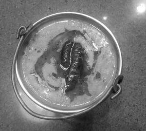 Dal Tadka