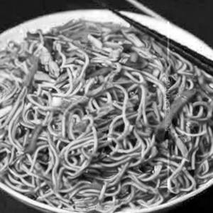 Chicken Hakka Noodles