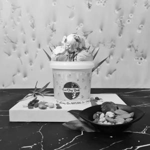 Dry Fruit Ice Cream